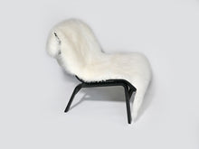 Lade das Bild in den Galerie-Viewer, Alba Fell (1 1/2)